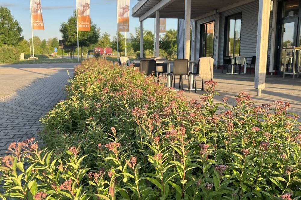 المظهر الخارجي