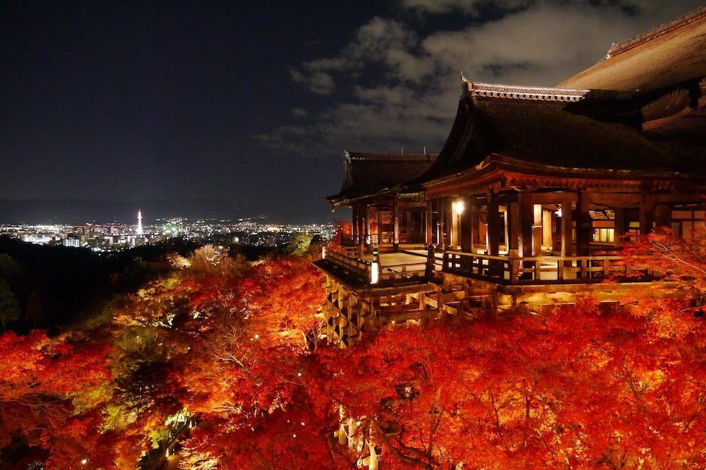 المظهر الخارجي