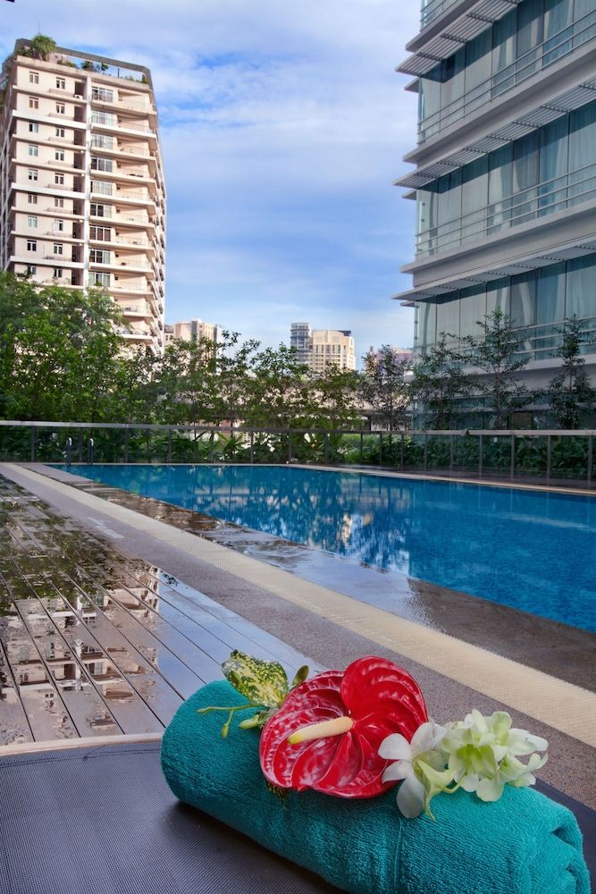 حوض السباحة