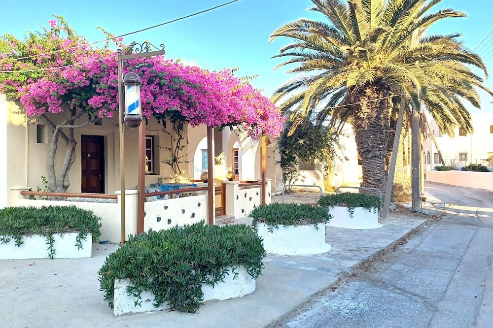 المظهر الخارجي