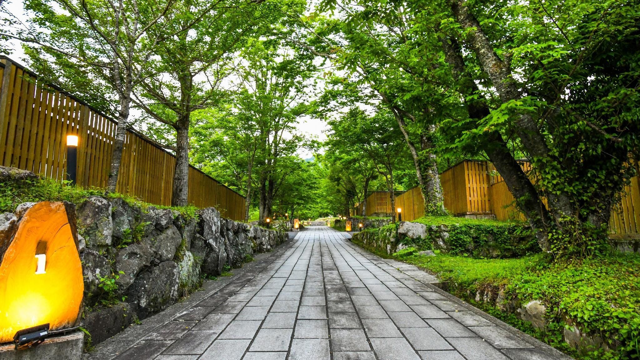 المظهر الخارجي