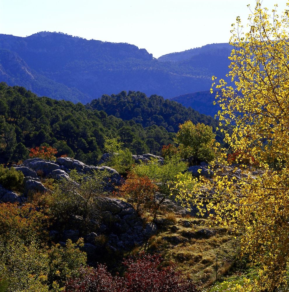 المظهر الخارجي