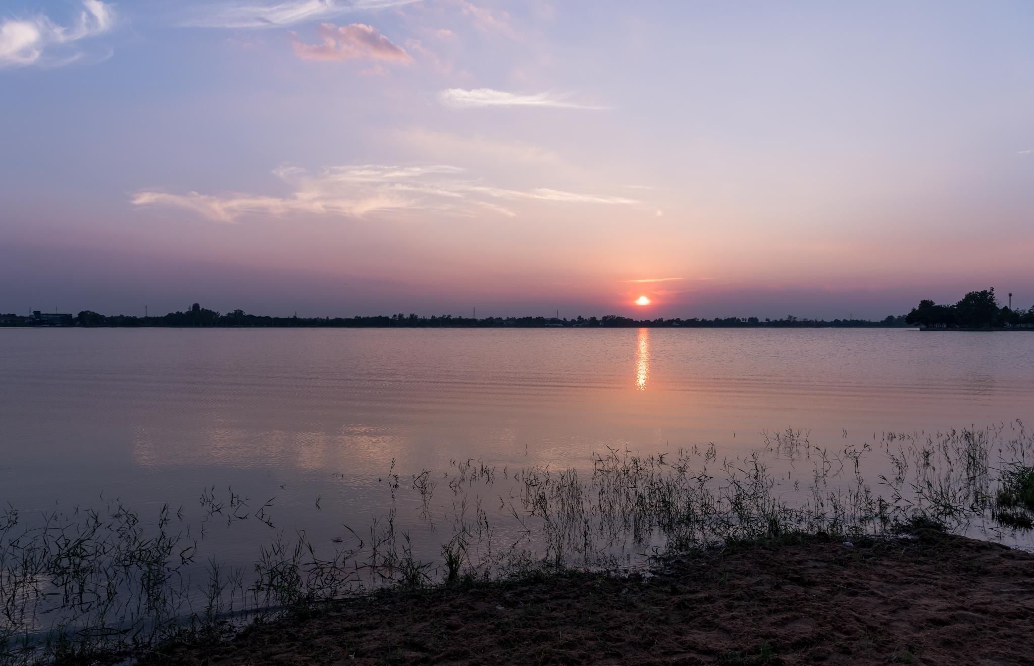 المظهر الخارجي