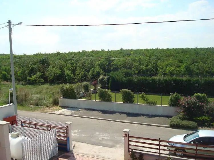 المظهر الخارجي