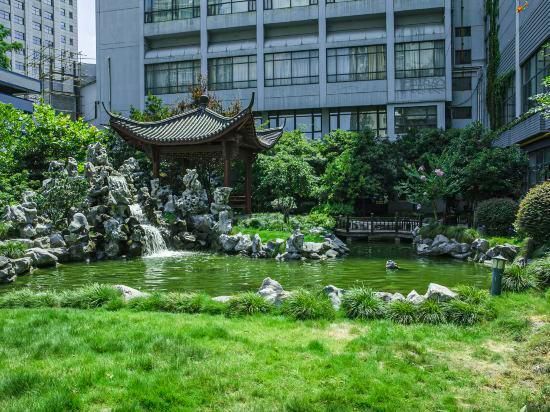 المظهر الخارجي