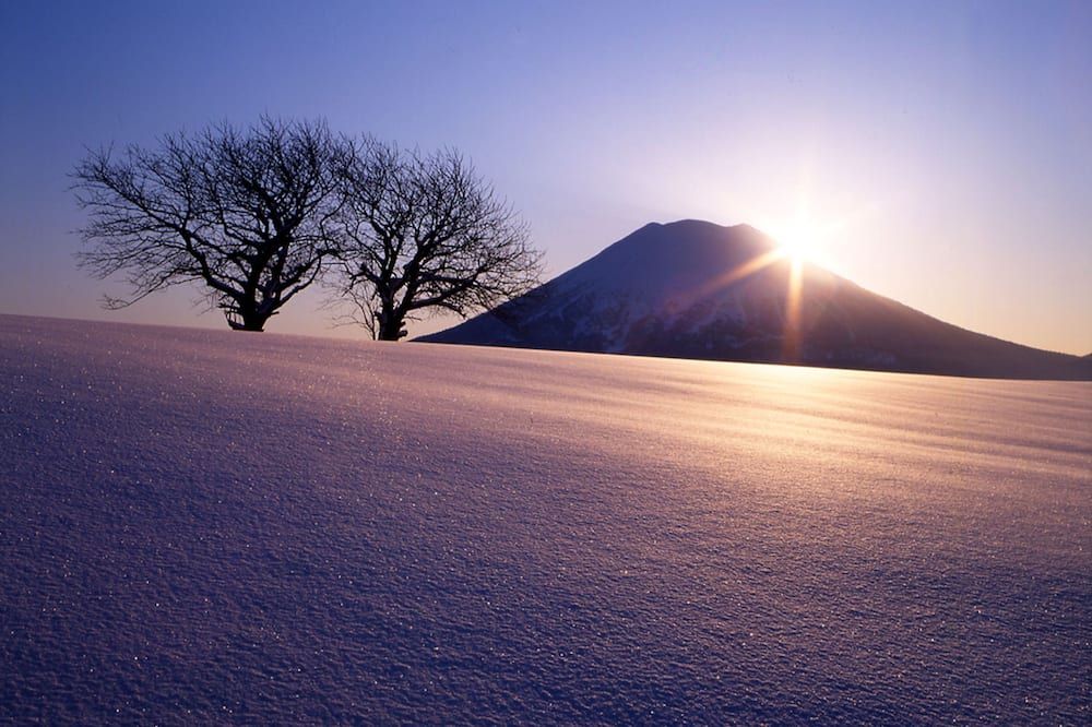 المظهر الخارجي