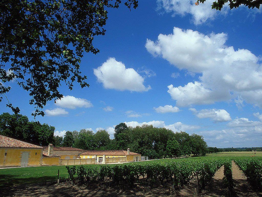 المظهر الخارجي