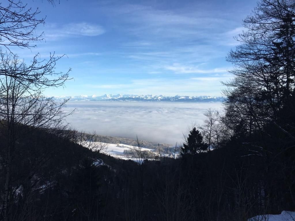 المظهر الخارجي