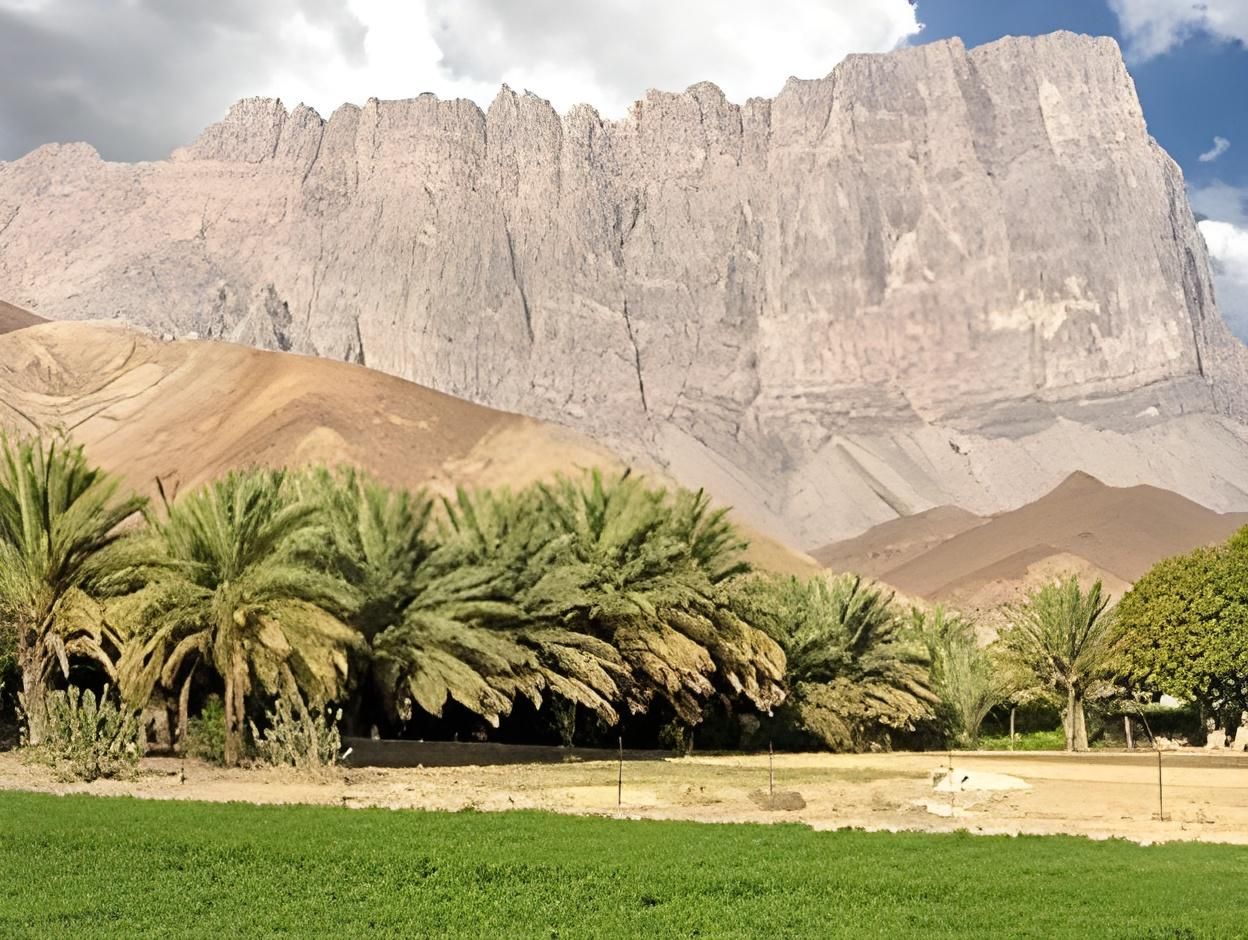 المظهر الخارجي