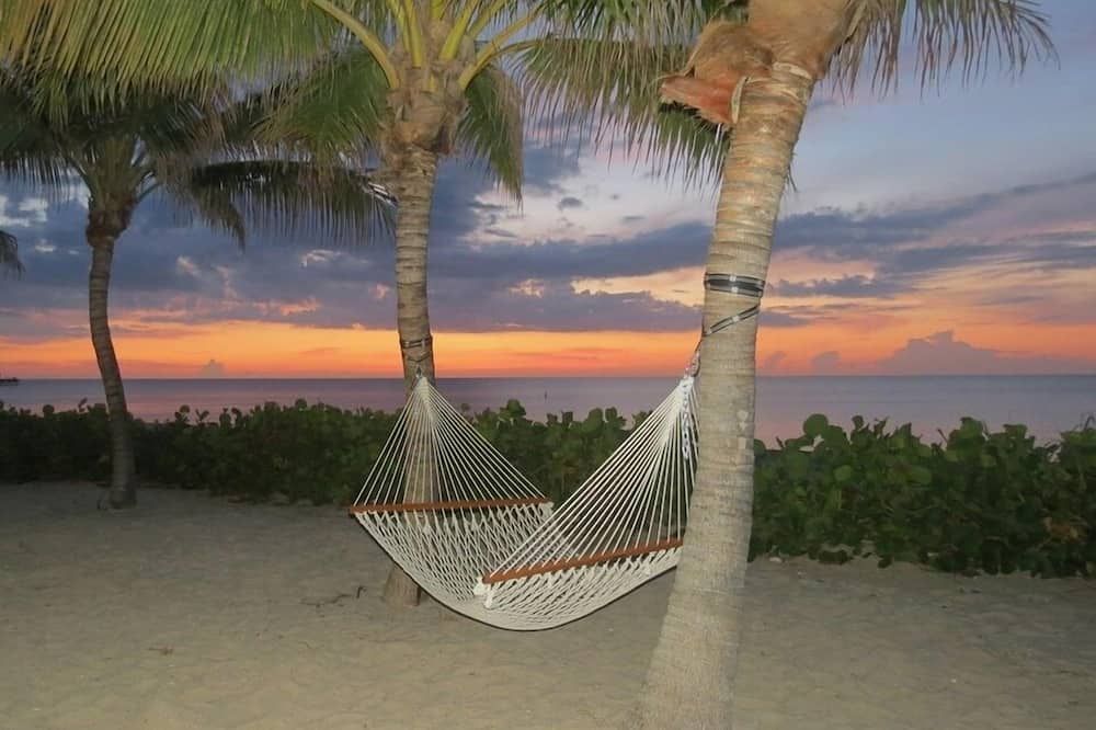 شاطئ صورة