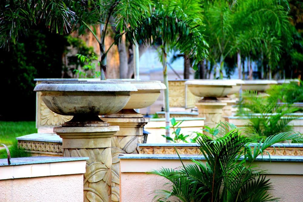 المظهر الخارجي