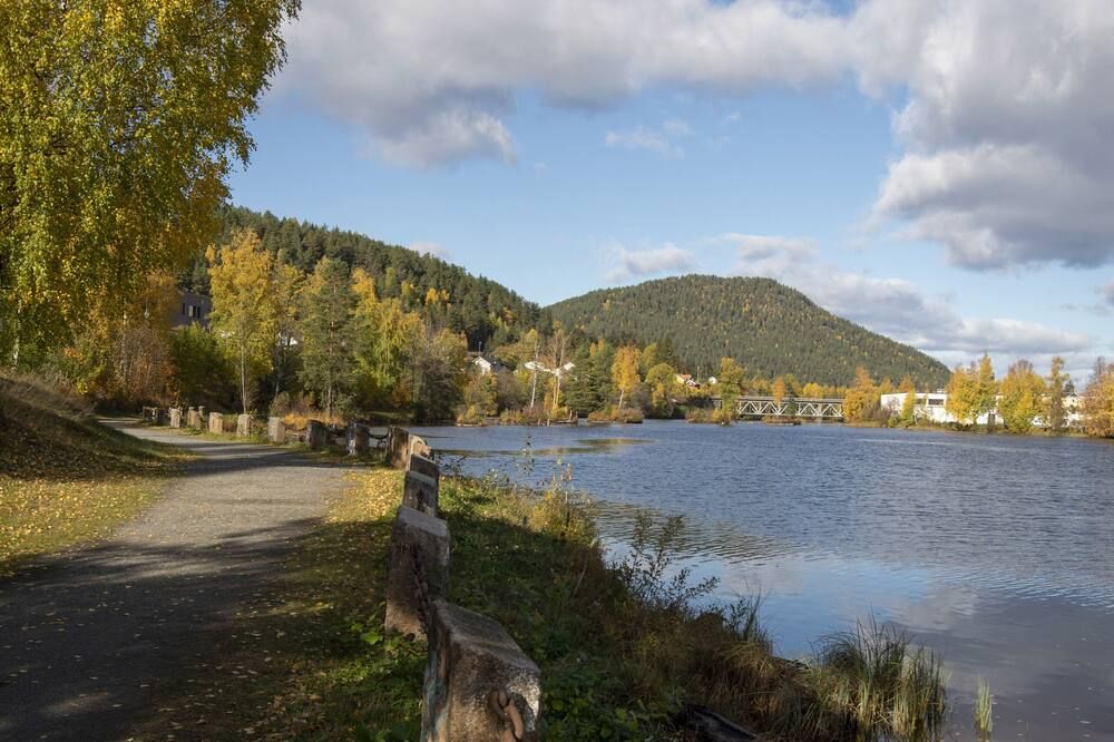 المظهر الخارجي