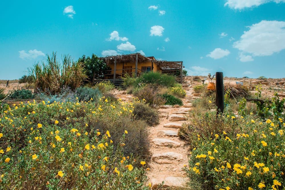 المظهر الخارجي