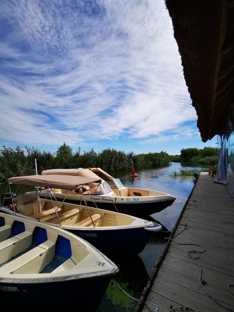 حوض السباحة