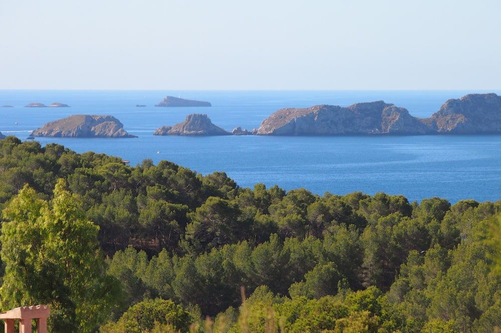 المظهر الخارجي