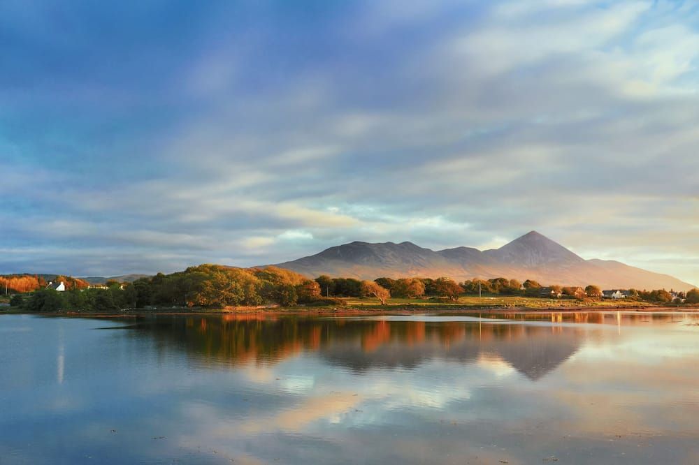 المظهر الخارجي