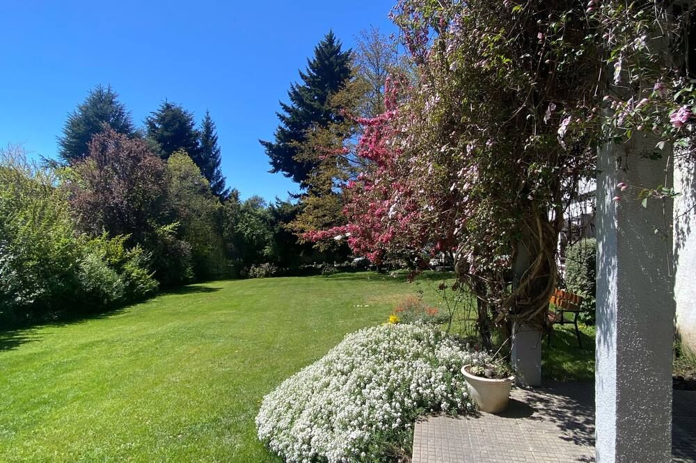 المظهر الخارجي