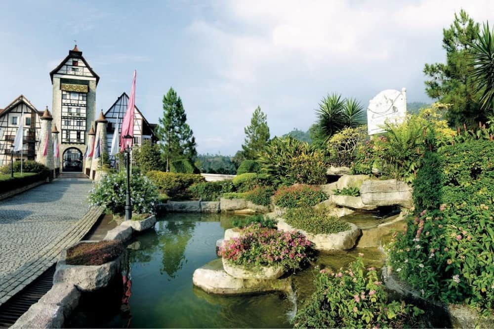 المظهر الخارجي