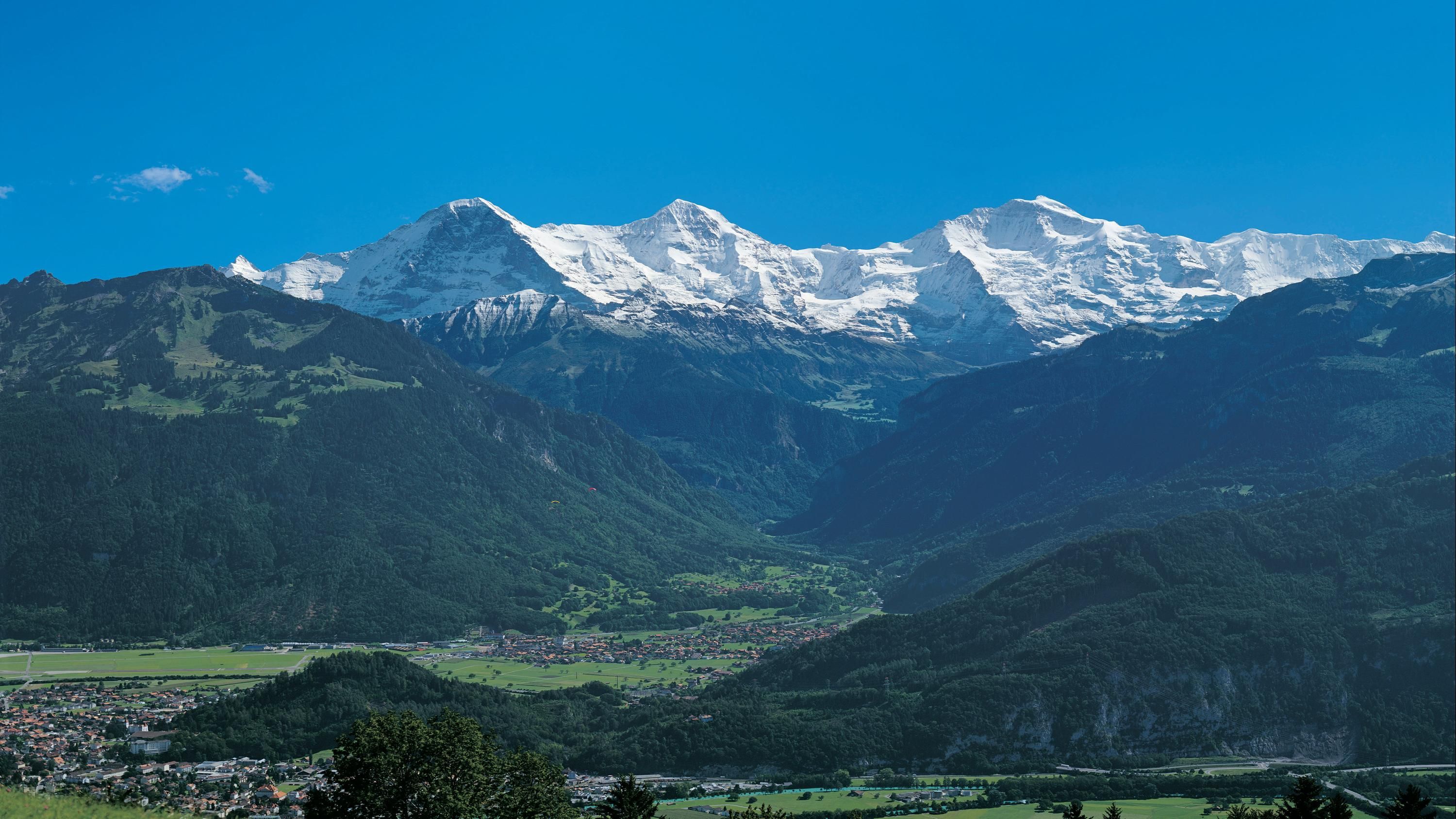 المظهر الخارجي