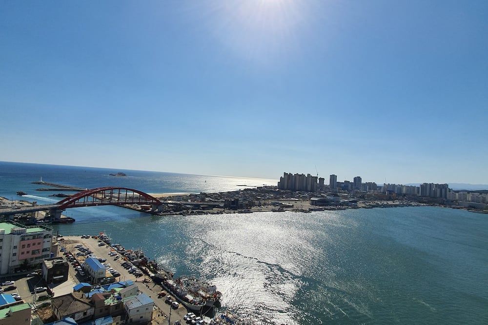 المظهر الخارجي