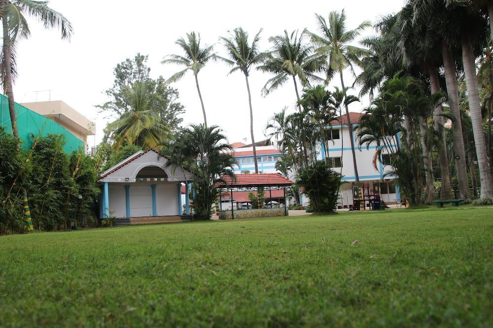 المظهر الخارجي