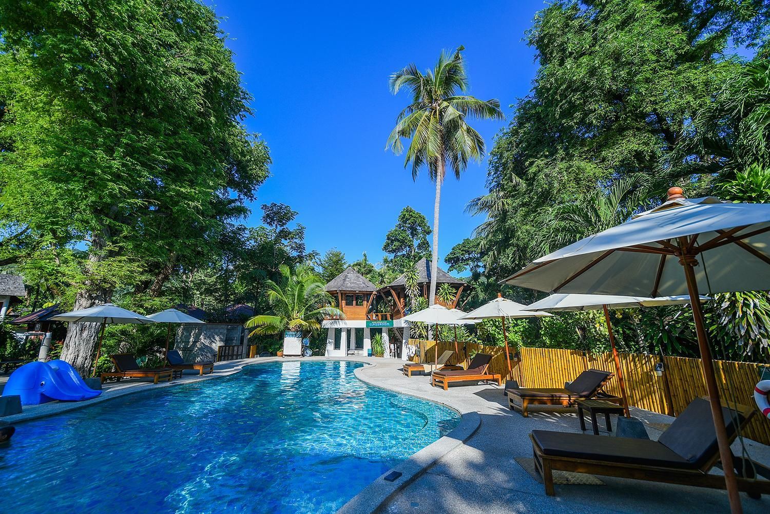 حوض السباحة