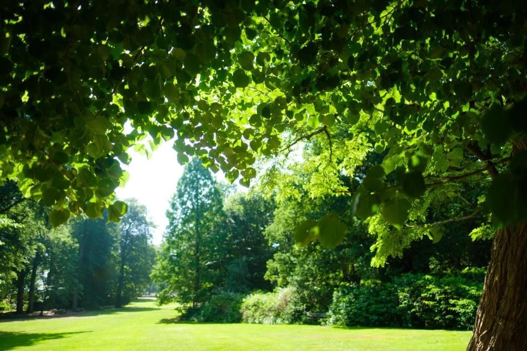 المظهر الخارجي