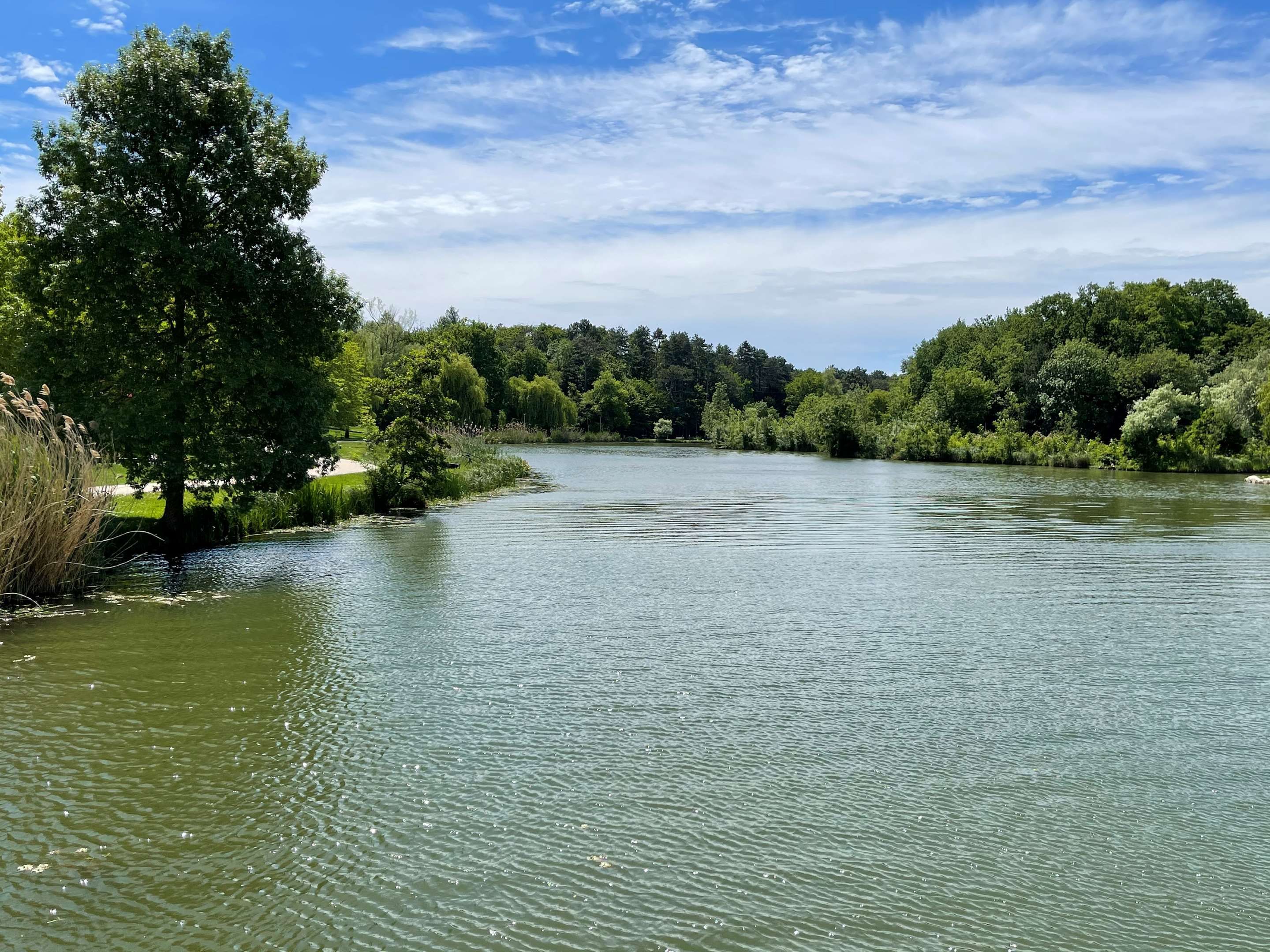 المظهر الخارجي