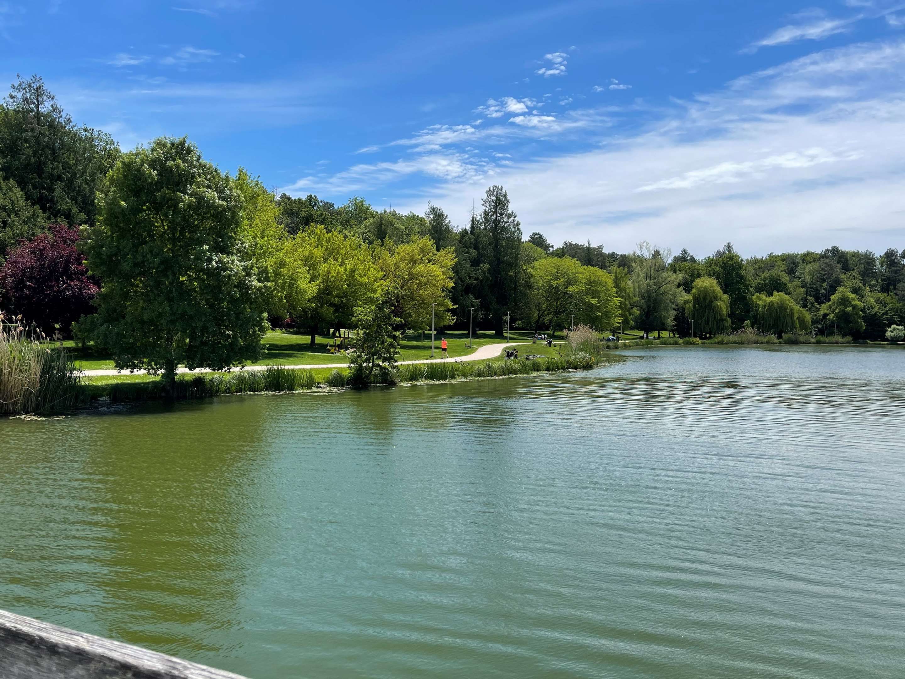 المظهر الخارجي