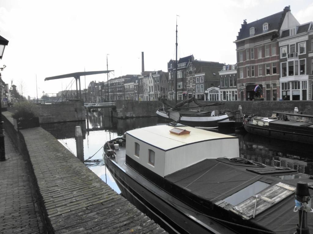 المظهر الخارجي