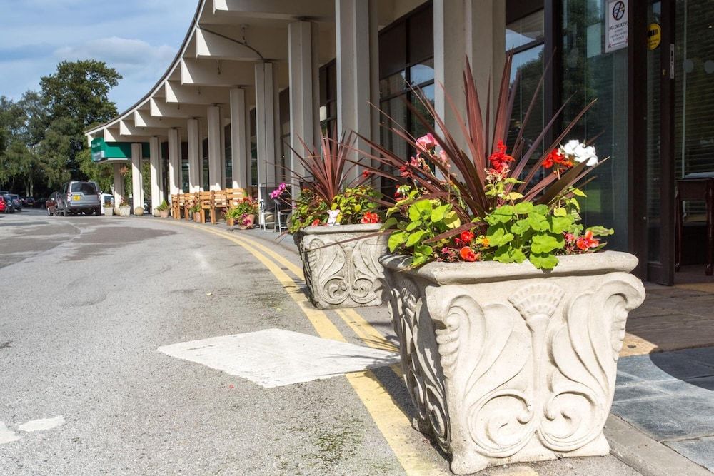 المظهر الخارجي