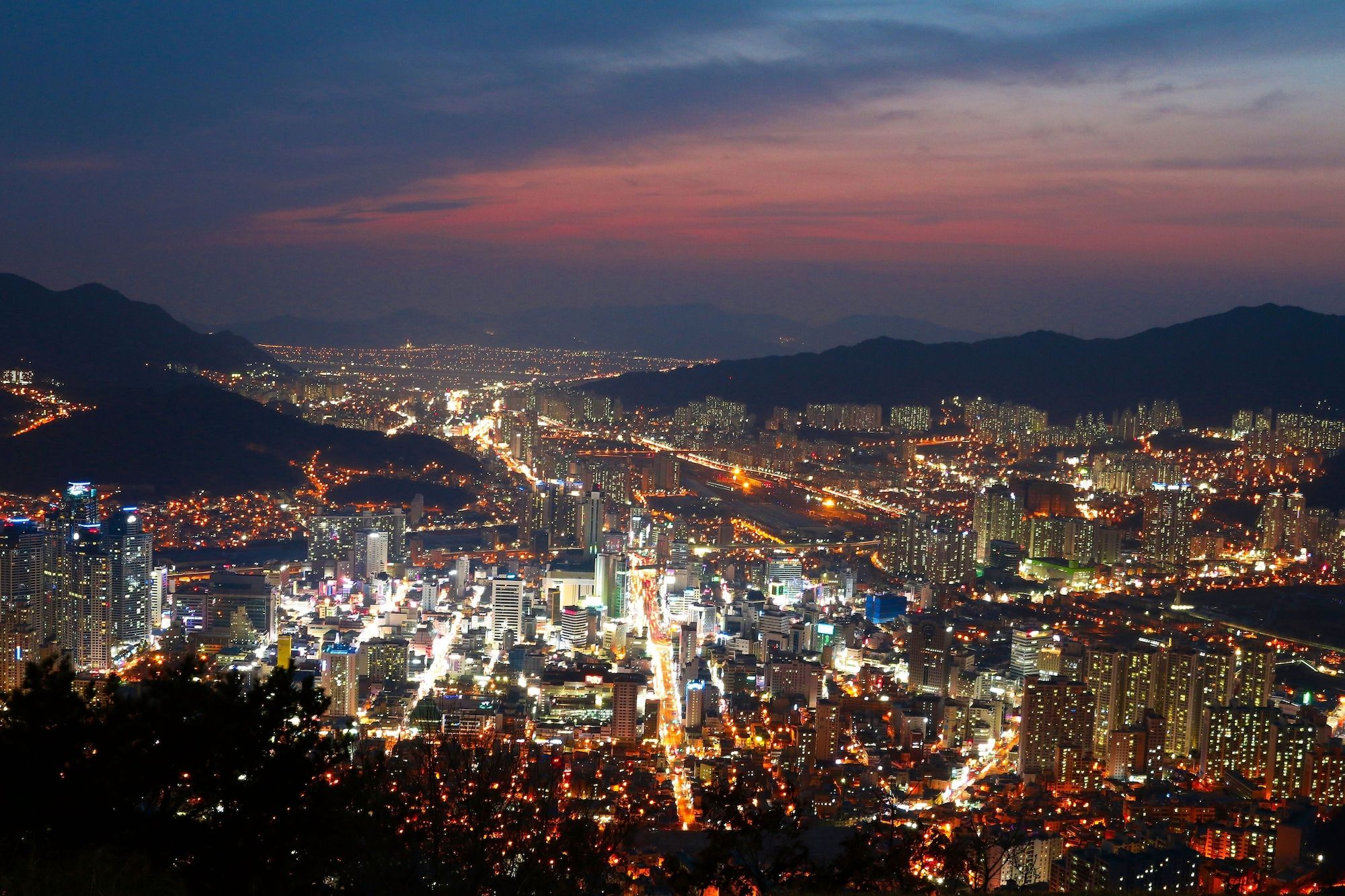 المظهر الخارجي