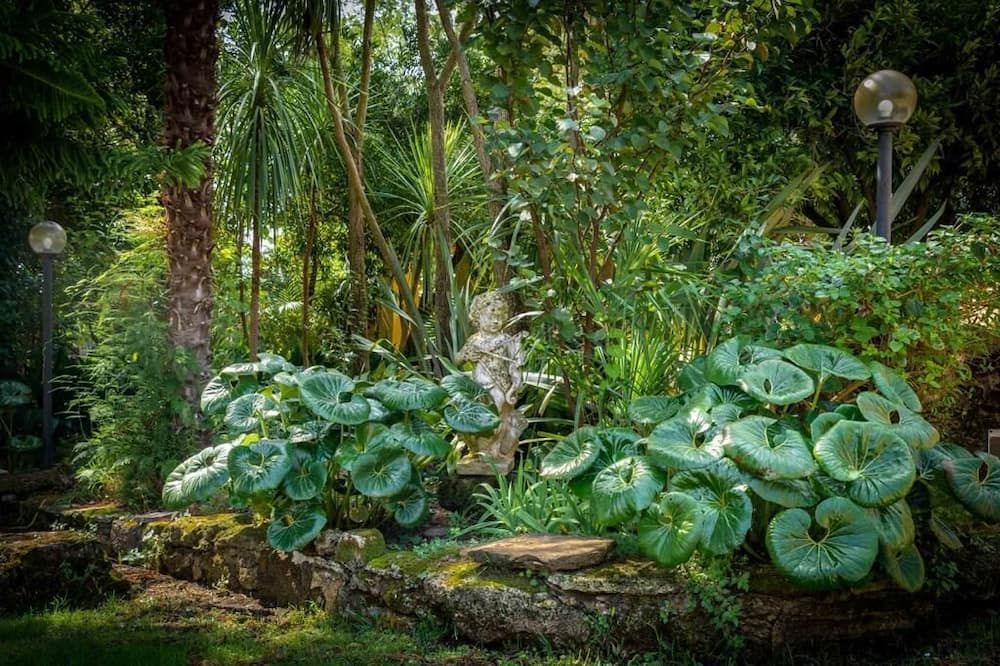 المظهر الخارجي