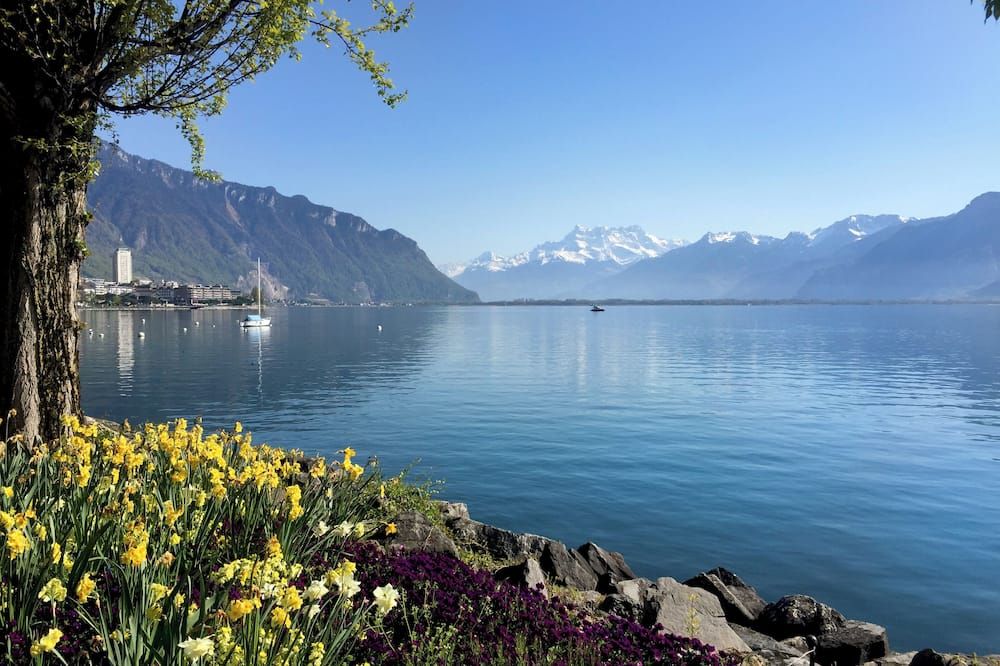 المظهر الخارجي