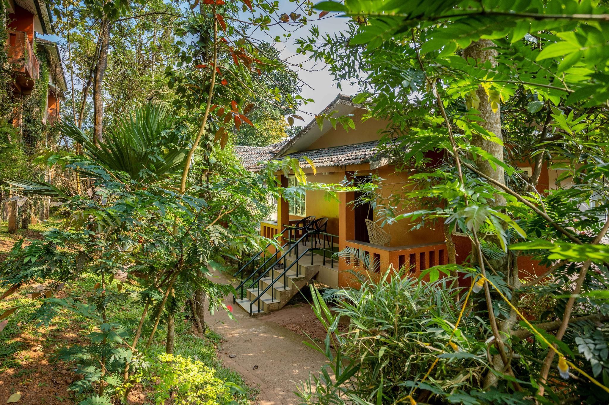 المظهر الخارجي