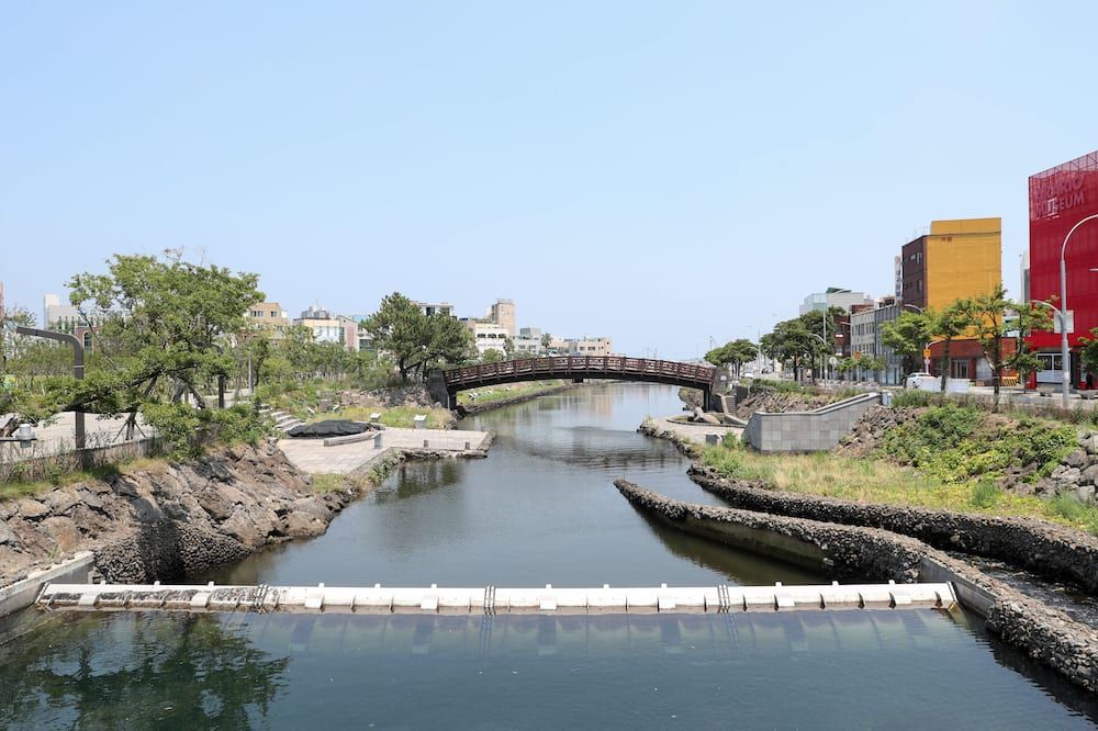 المظهر الخارجي