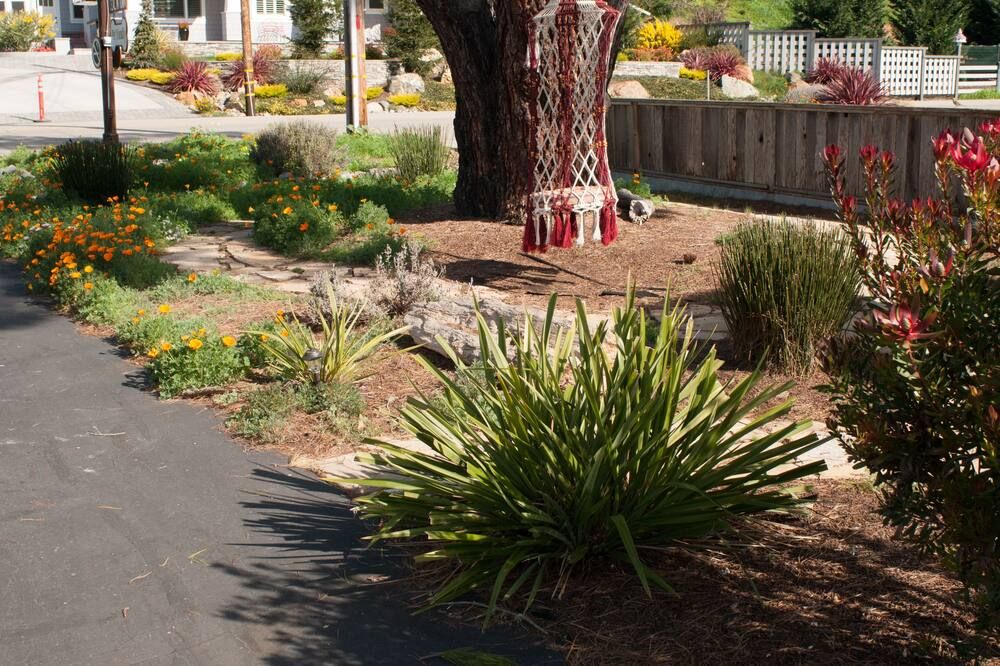 المظهر الخارجي