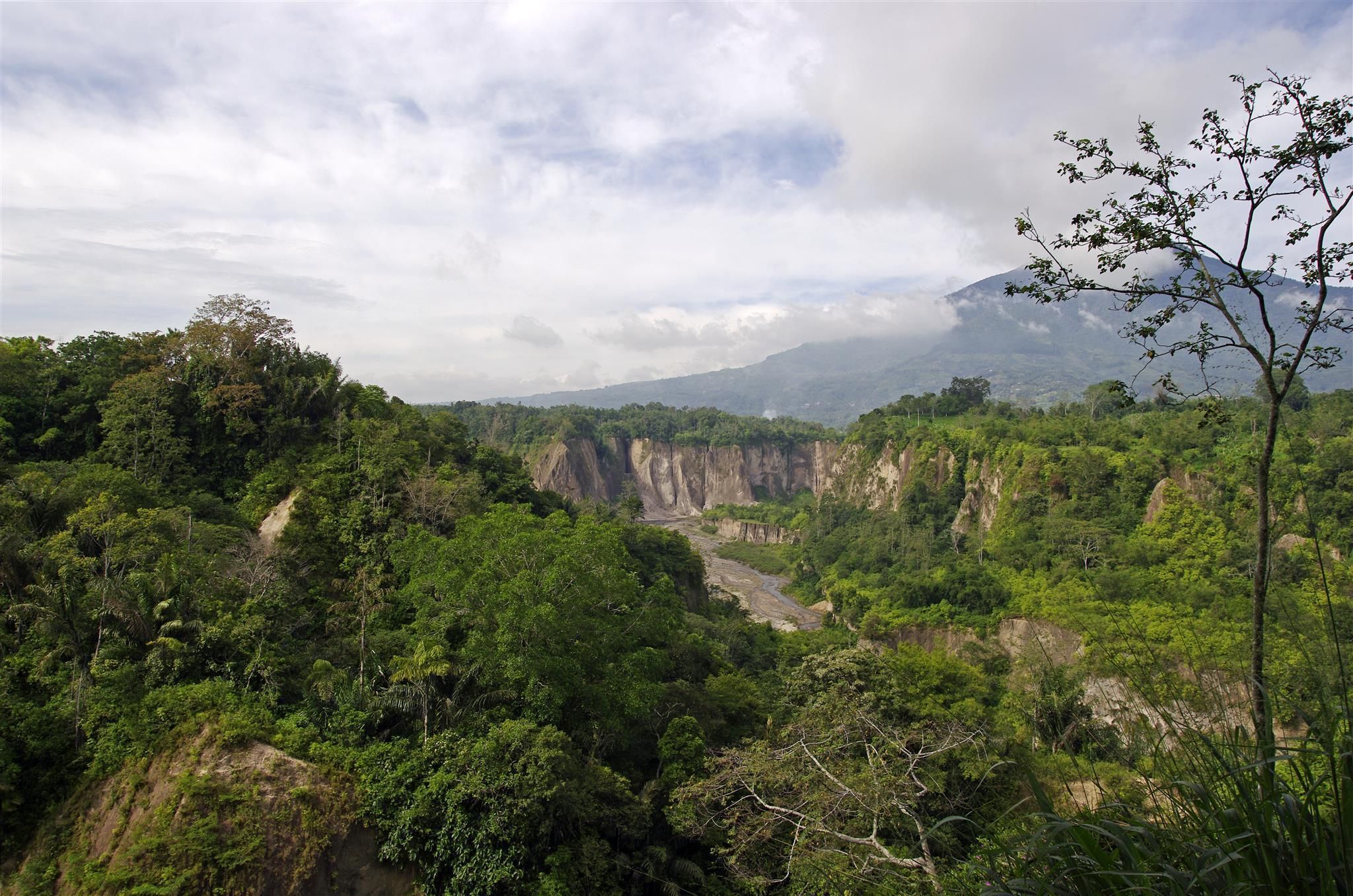 المظهر الخارجي