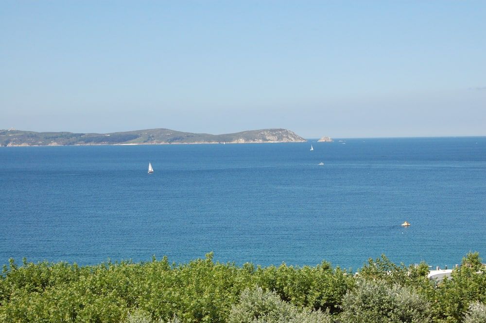 المظهر الخارجي