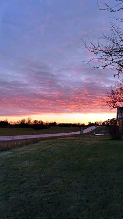 المظهر الخارجي