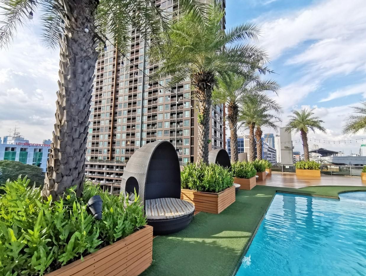 حوض السباحة صورة