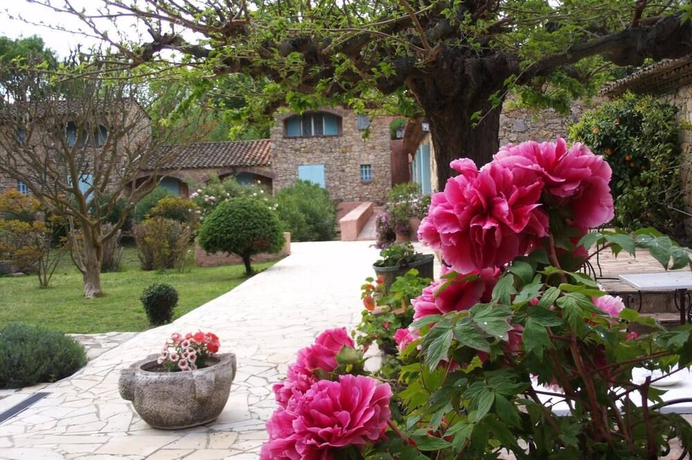 المظهر الخارجي