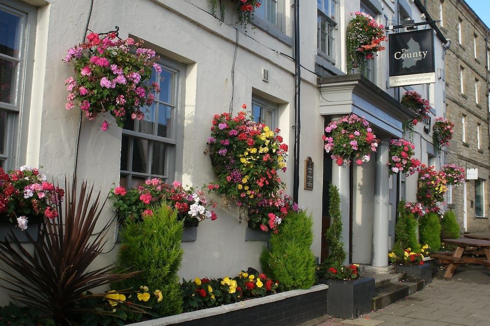 المظهر الخارجي