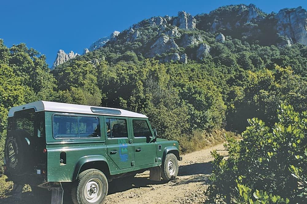 المظهر الخارجي