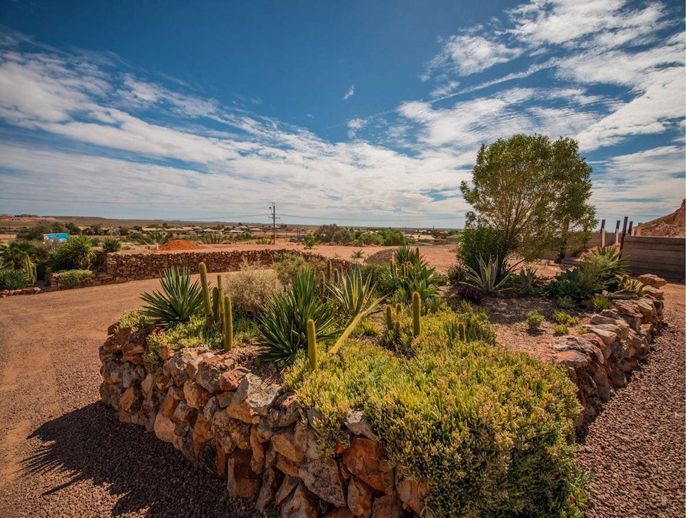 المظهر الخارجي