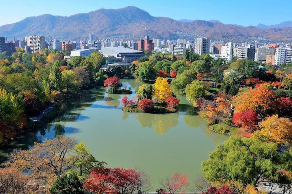 المظهر الخارجي