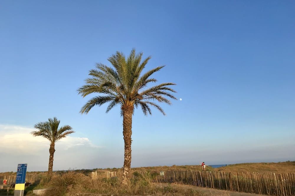 المظهر الخارجي