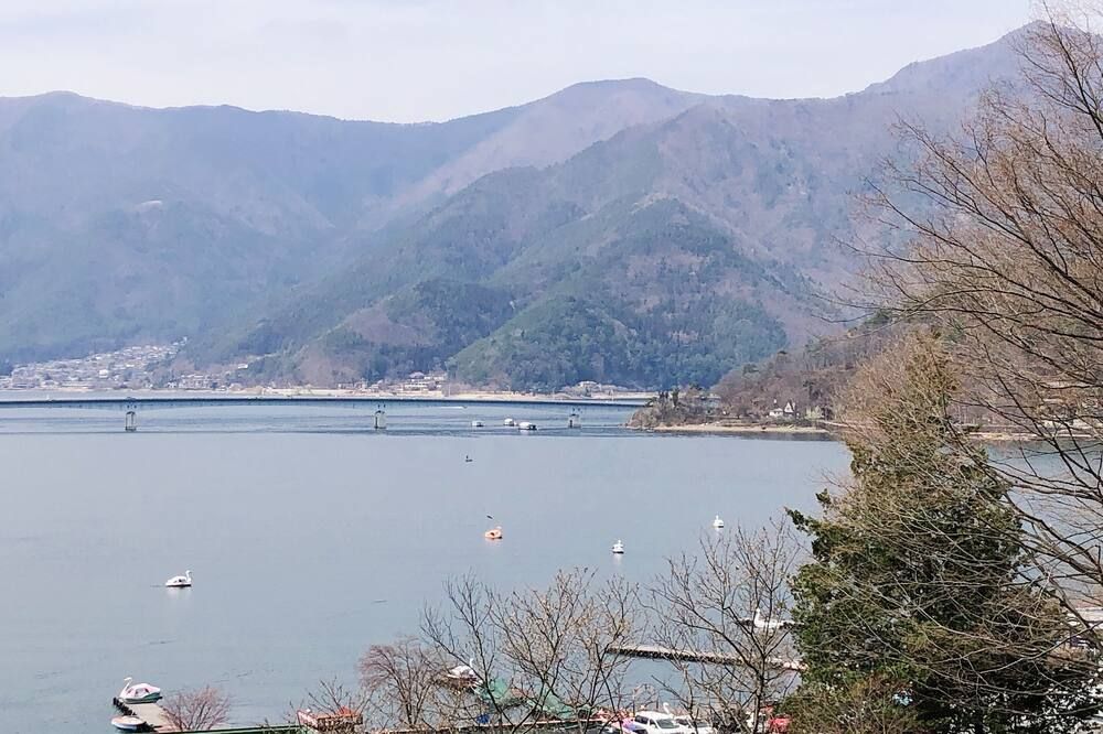 المظهر الخارجي