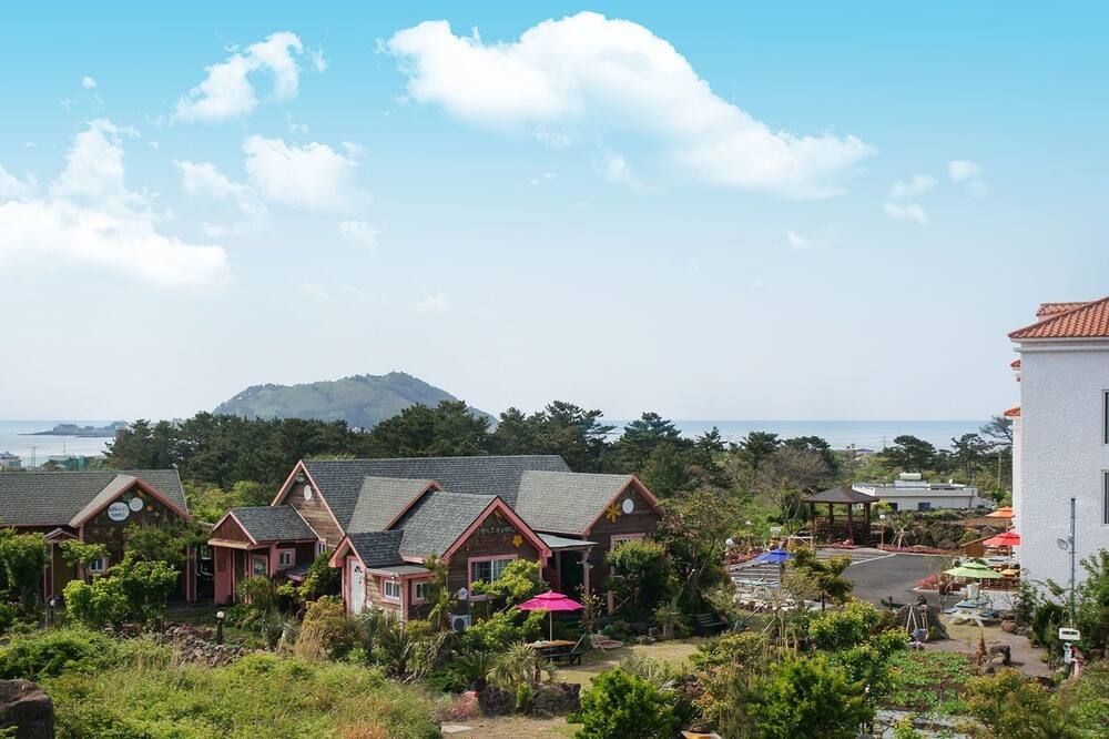 المظهر الخارجي