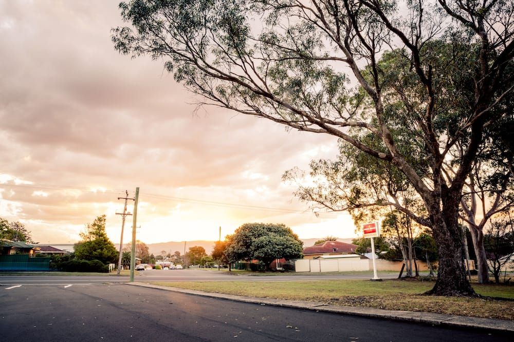 المظهر الخارجي